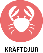 crab