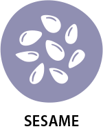 sesam